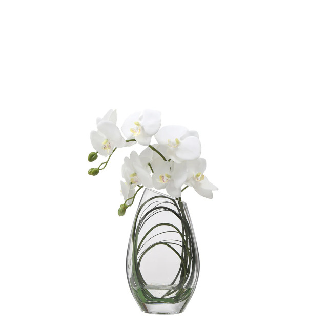 Sia Deco Composition d'orchidée artificielle avec vase et herbe d'ours 29cm - 3066774 large