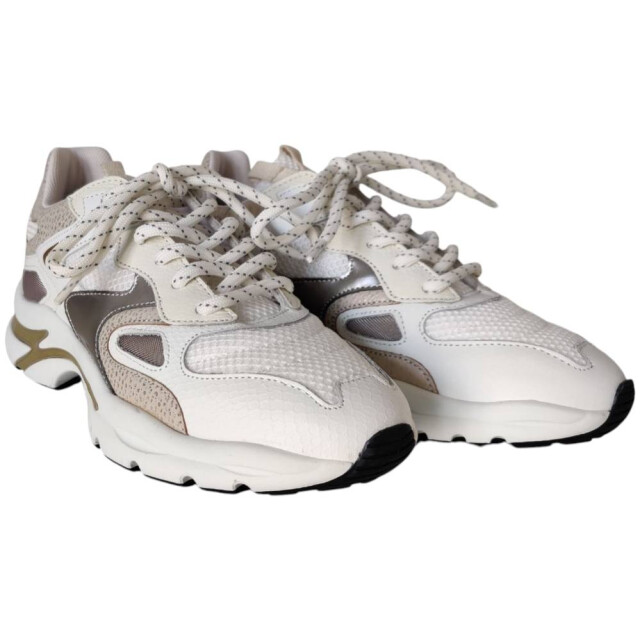 VIA VAI Vesper due 62215-01-1219 sneaker VESPER DUE  62215-01-1219 large