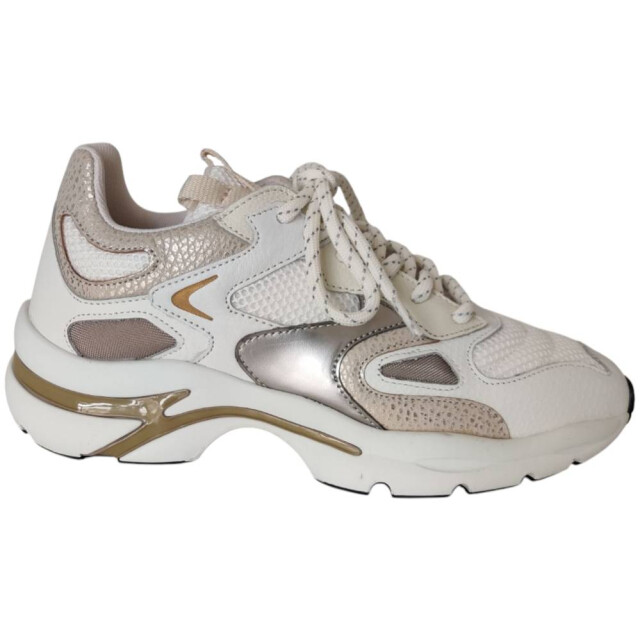 VIA VAI Vesper due 62215-01-1219 sneaker VESPER DUE  62215-01-1219 large