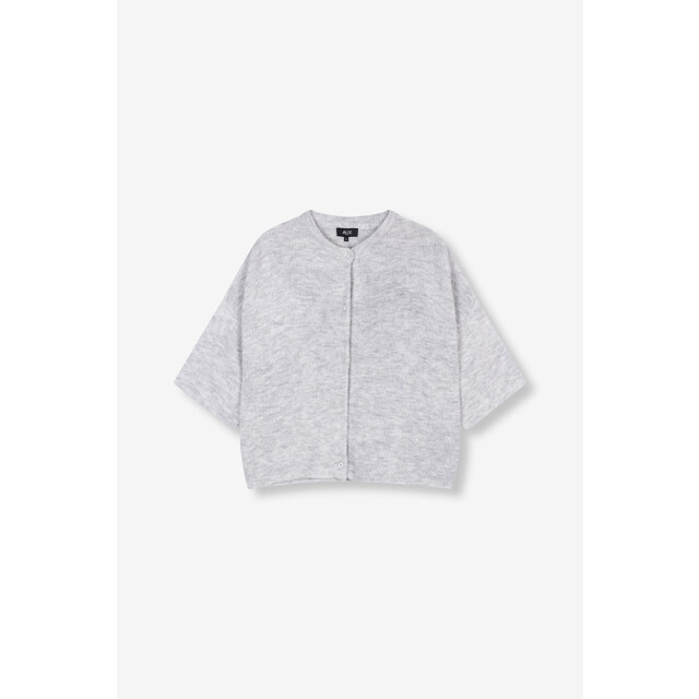 Alix The Label Knitted short sleeve cardigan melee 4249.87.0009 large