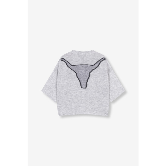 Alix The Label Knitted short sleeve cardigan melee 4249.87.0009 large