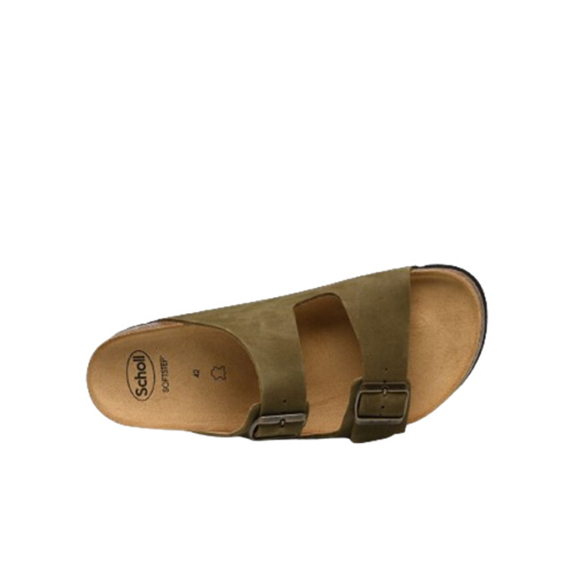 Scholl Julien sue m Julien_sue-M large