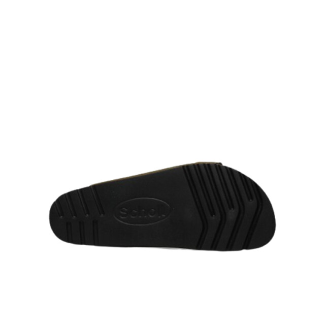 Scholl Julien sue m Julien_sue-M large