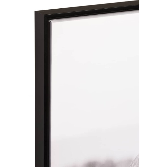 J-Line Kader olifanten hout papier wit 92415 large