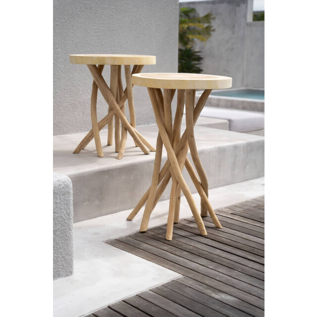 Bazar Bizar Bartafel gili JAMA003N large