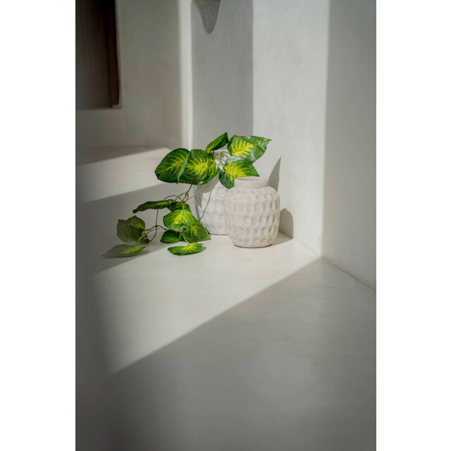 Bazar Bizar Vaas beton l trendy JABR042Con-L large