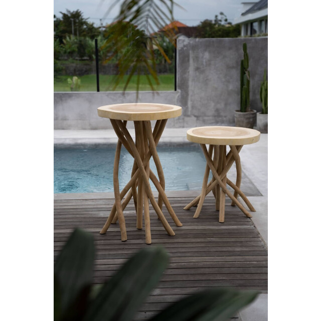 Bazar Bizar Bartafel gili JAMA003N large