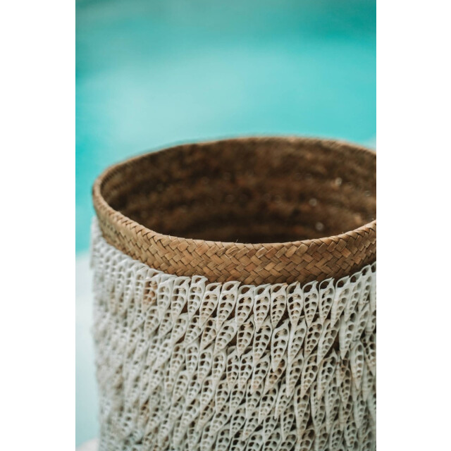 Bazar Bizar Pandan schelp opbergmand naturel wit BAEX008NW large
