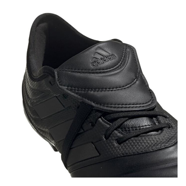 Adidas Copa gloro 19.2 fg F35489 large