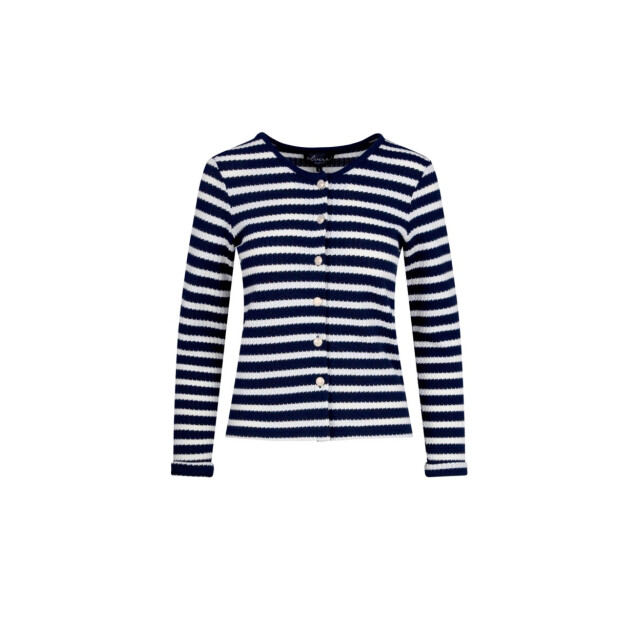 Elvira Collections Cardigan juul dessin 4249.39.0003 large