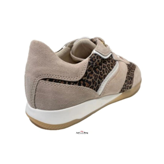 DL Sport Damesschoenen sneakers 6572 833 large
