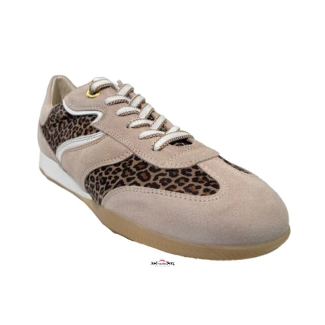 DL Sport Damesschoenen sneakers 6572 833 large