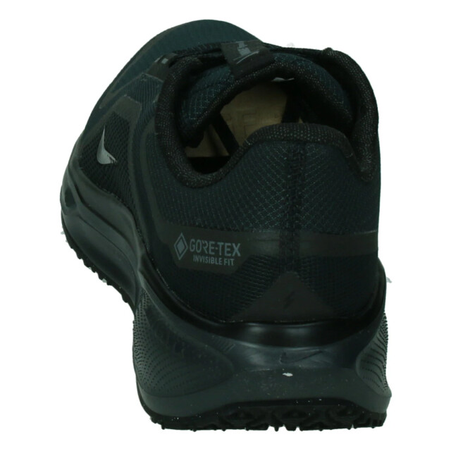 Nike Pegasus 41 gore-tex women 133915 large