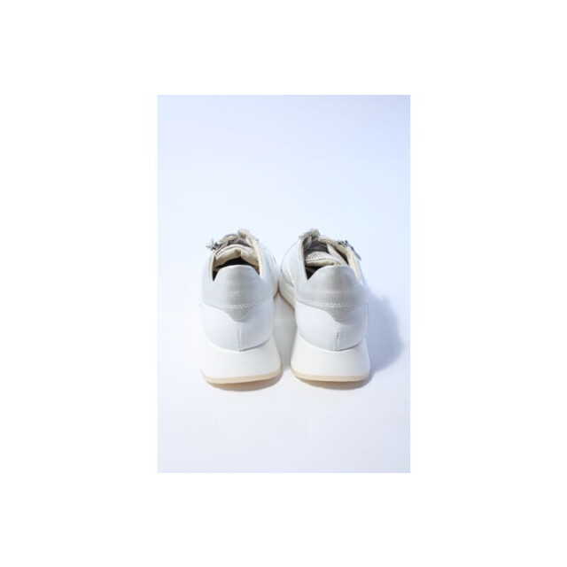 DL Sport 6526 sneakers 6526 large