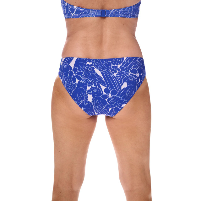 Amoena Azores bikini slip azores ptyrv c0639 c0639 royal blue/white 9803604361557 large