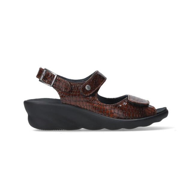 Wolky  Sandalen Bruin  large