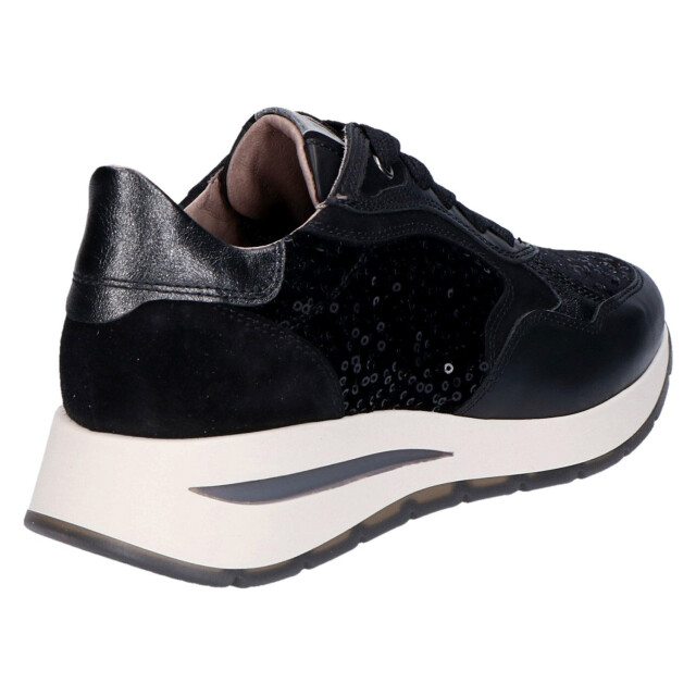 DL Sport 6336 6336/Vers05 large