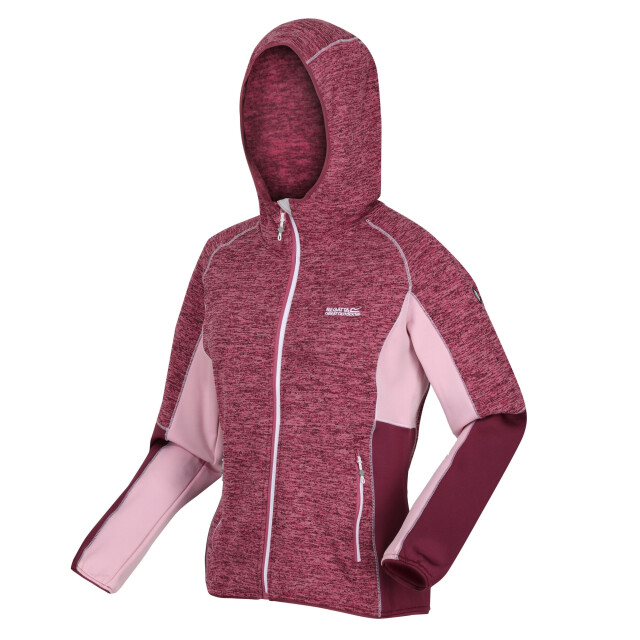 Regatta Dames walbury iv lichtgewicht fleecejack UTRG7992_violetamaranthhaze large