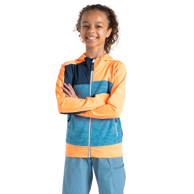 Dare2b Kinder/kids thriving ii midlayer UTRG10060_livewireniagarablue large