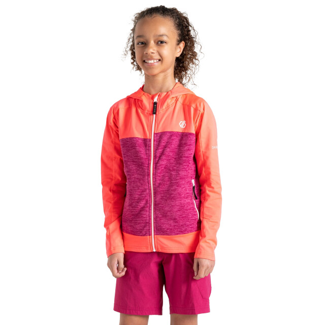 Dare2b Kinder/kids thriving ii midlayer UTRG10060_berrypinkneonpink large