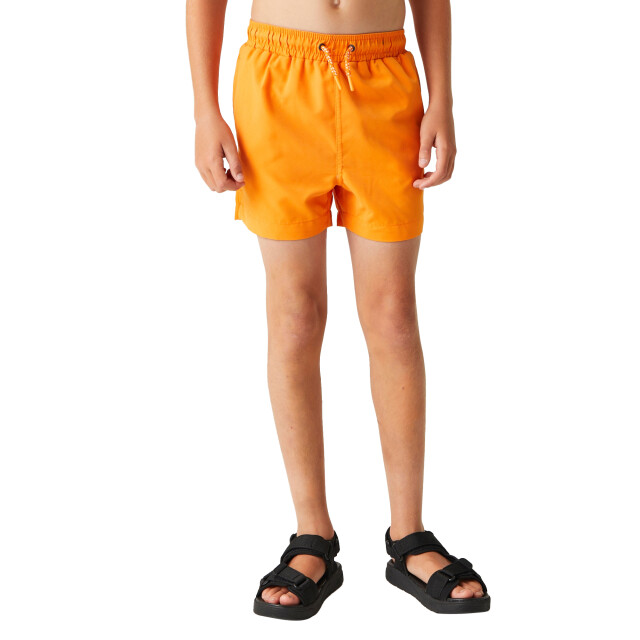 Regatta Skander iii effen zwemshort kinderen/kinderen UTRG10671_persimmon large