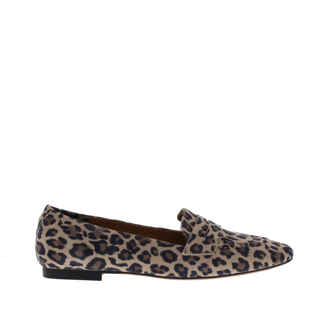 Di Lauro Tera spits penny lak | dames | maat: | lak 109053 large