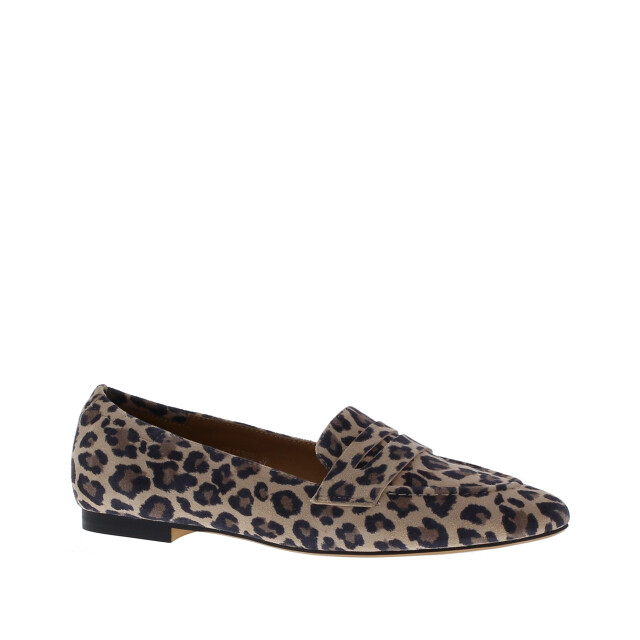 Di Lauro Tera spits penny lak | dames | maat: | lak 109053 large