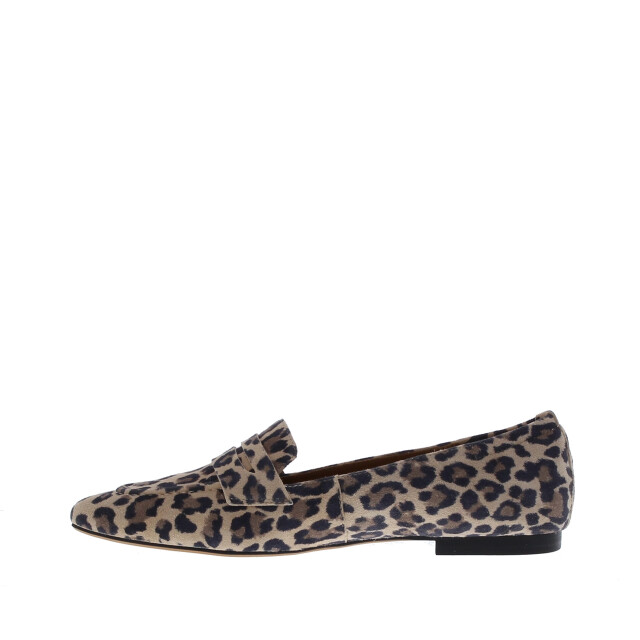 Di Lauro Tera spits penny lak | dames | maat: | lak 109053 large