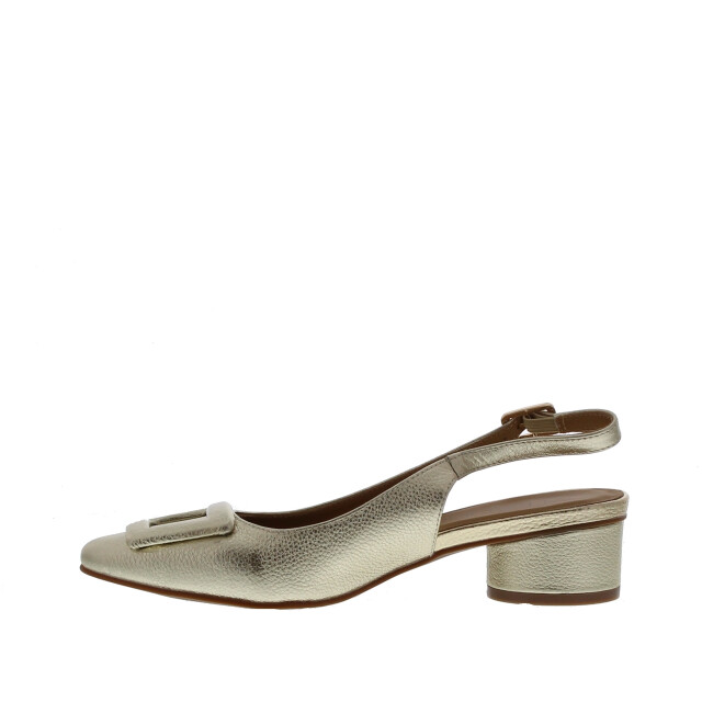 Di Lauro Affia-1 slingback gesp | dames | maat: | leer 110035 large