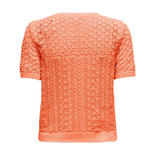 Only Pullover korte mouw 15339662 Only Pullover korte mouw 15339662 large