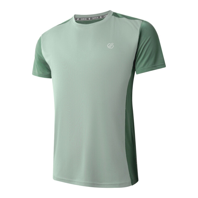 Dare2b Heren onzichtbaar iii t-shirt UTRG11498_aquagreyhedgegreen large