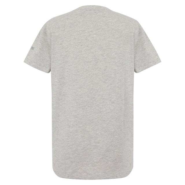 Regatta Dames filandra vx fleur t-shirt UTRG11330_greymarl large