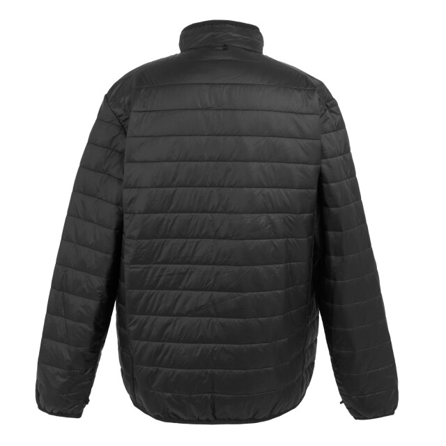 Regatta Heren wentwood ix 3 in 1 jas UTRG11212_ashblack large