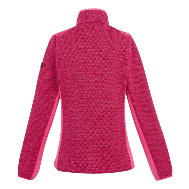 Regatta Dames highton iv full zip fleecejack UTRG11232_flamingopink large