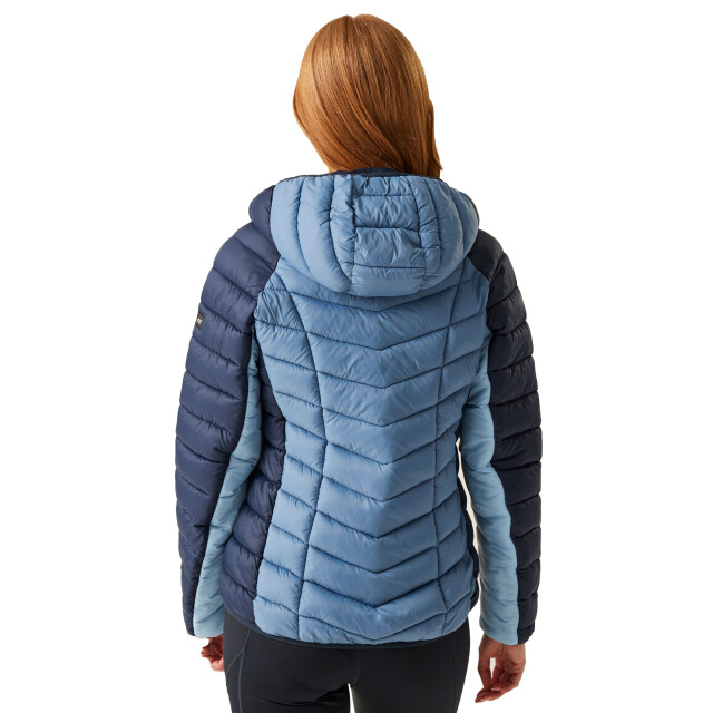 Regatta Dames dalent gewatteerd hooded jacket UTRG11152_navycoronetblue large