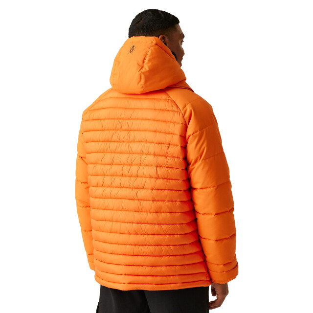 Regatta Heren christian lacroix congenies korte gewatteerde jas UTRG11194_carrot large