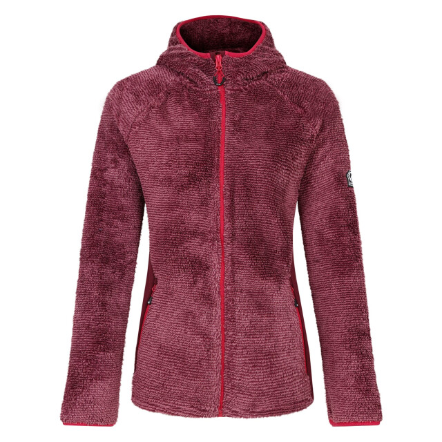 Dare2b Dames torrek mountain pro midlayer UTRG11198_fig large