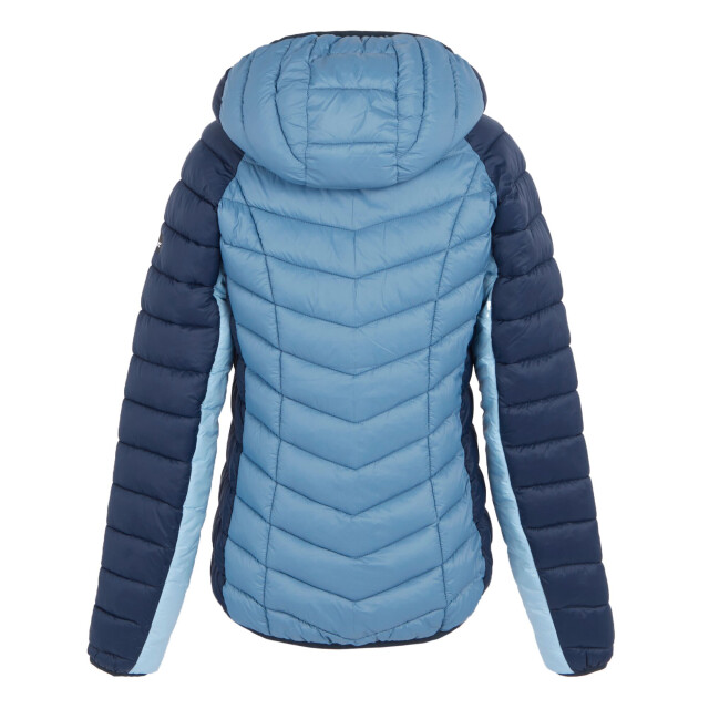 Regatta Dames dalent gewatteerd hooded jacket UTRG11152_navycoronetblue large