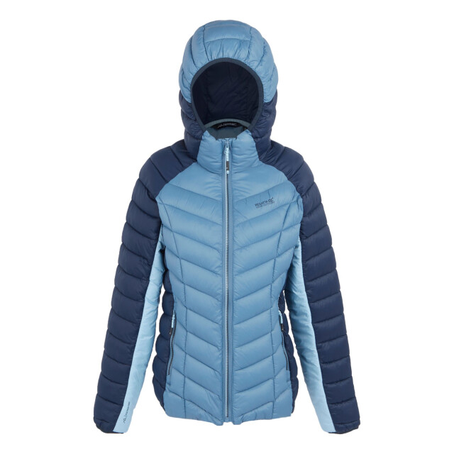 Regatta Dames dalent gewatteerd hooded jacket UTRG11152_navycoronetblue large