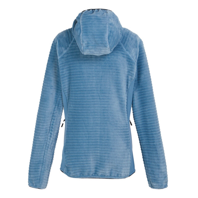 Regatta Dames endra fleecejas met capuchon UTRG11109_coronetblue large