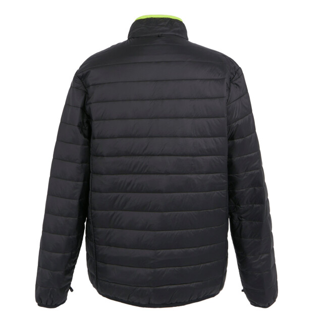 Regatta Heren wentwood ix 3 in 1 jas UTRG11212_nephritegreenblack large