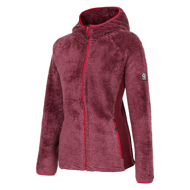 Dare2b Dames torrek mountain pro midlayer UTRG11198_fig large