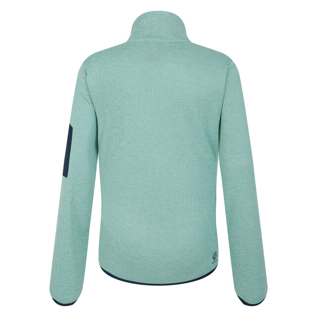 Dare2b Dames torrek fleece top UTRG11068_mintgreen large