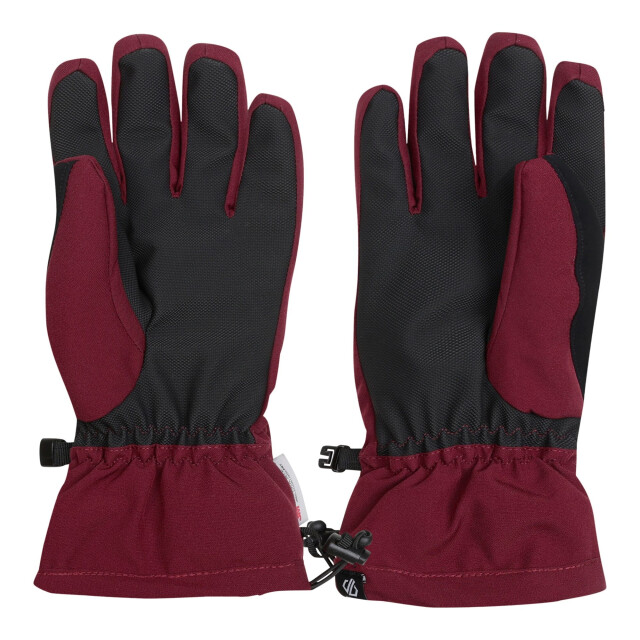 Dare2b Dames charisma iii logo skihandschoenen UTRG11029_fig large