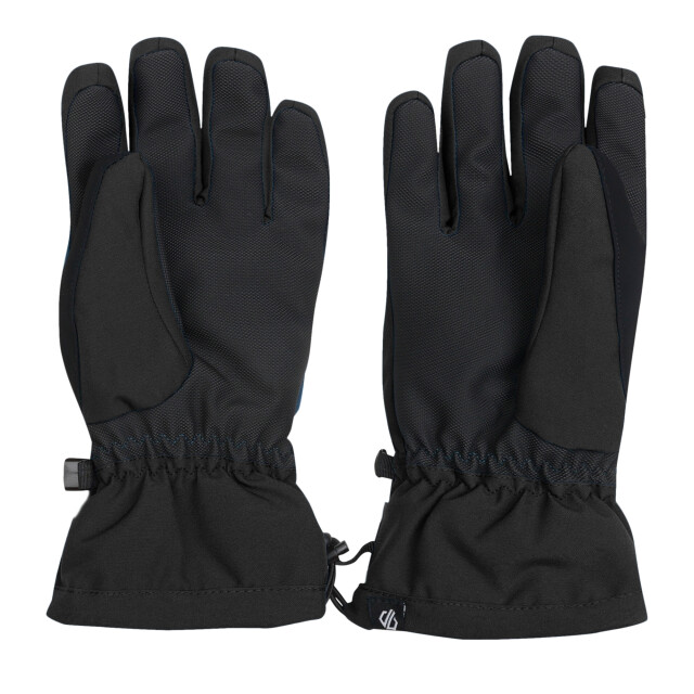 Dare2b Dames charisma iii logo skihandschoenen UTRG11029_black large