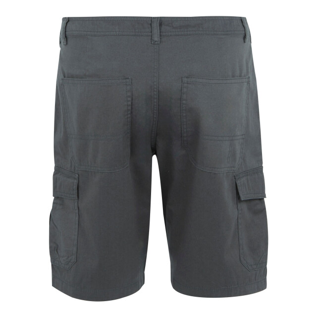 Regatta Heren ruwan vrijetijdsshort UTRG10931_sealgrey large