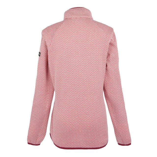 Regatta Dames elzie full zip fleecejack UTRG10939_mineralred large