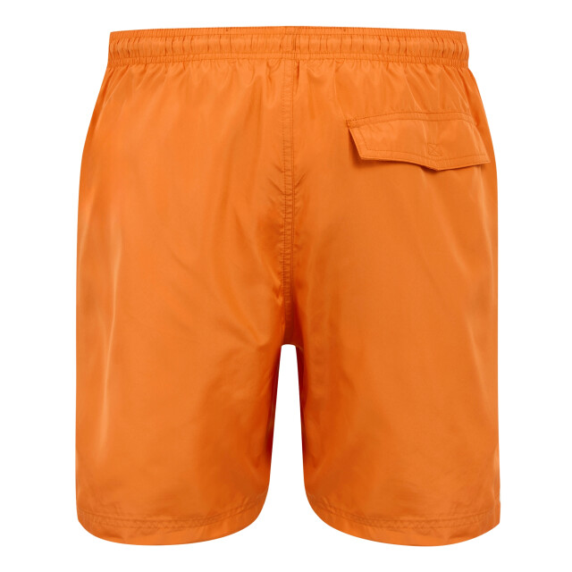 Regatta Heren mackleyna zwemshorts UTRG10824_fox large