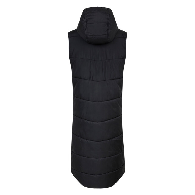 Dare2b Dames distinguish gilet UTRG10950_black large