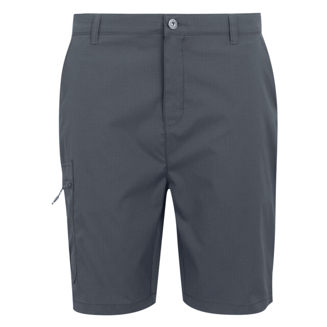 Regatta Heren dalry multi pocket korte broek UTRG10335_sealgrey large